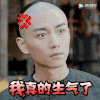 那年花开月正圆 陈晓 帅哥