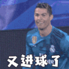 C罗 葡萄牙 世界杯 又进球了