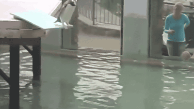 企鹅 跳水 水花 水池