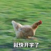 萌宠 鸡 就快开学了 开学 沙雕 着急