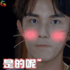 明星大侦探 吴磊 是的呢 soogif soogif出品