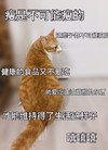 萌宠 猫星人 瘦是不可能瘦的 嘻嘻嘻 搞怪 逗