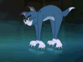 跳舞 剪刀 猫和老鼠 呆萌
