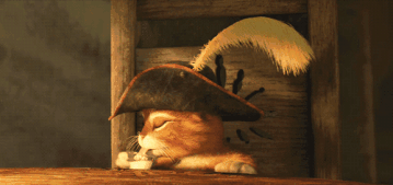 猫咪 武士 帽子 喝奶