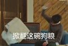 狗粮 搞笑 滑稽 愤怒