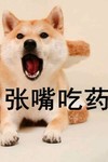 萌宠 汪星人 张嘴吃药 饿了 呆萌 可爱