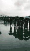 江南  大学 暴雨  军训 下雨 开学