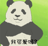萌 熊猫 可爱