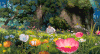 蝴蝶 花瓣 风景