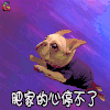 萌宠 狗 汪星人 肥家的心停不了 soogif soogif出品