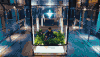 FLIGHT&LOG&:&ARRIVAL GOT7 MV 安静 帅哥 朴珍荣 植物 玻璃箱