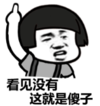 暴漫 文字表情包 看见没有这就是傻子 搞笑 沙雕 魔性