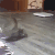 猫咪 萌宠 地板 打滚