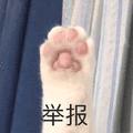 猫 举报