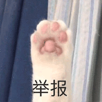 猫 举报 可爱 呆萌