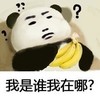 熊猫 斗图 我是谁我在哪