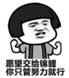 暴漫 文字表情包 愿望交给锦鲤你只管努力就行 搞笑 逗 沙雕