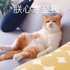 萌宠 汪星人 朕心寒至极 无语 呆萌 可爱