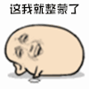 暴漫 画圈 懵逼 这我就整蒙了 蒙圈 soogif soogif出品