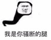 熊猫头 暴漫 我是你骚断的腿 搞笑 文字表情包 逗