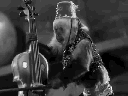 经典电影 猴子 小提琴 金刚 儿子香港