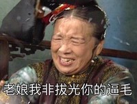 还珠格格 李明启 容嬷嬷 搞笑 老娘我非拔光你的逼毛