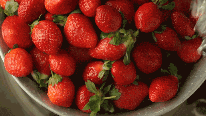 水果 草莓 冲洗 新鲜