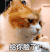 萌宠 猫星人 给你脸了 嫌弃 呆萌