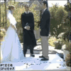 婚礼 尴尬 泳池 意外 哈哈哈