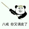 熊猫人 大师兄 高兴 八戒你又调皮了