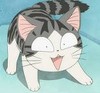 猫咪 可爱 惊喜 惊讶