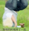 EXO 黄子韬 翻滚 落地的时候摔了一跤