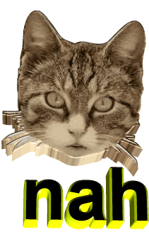 动图 图片   猫咪 哈哈