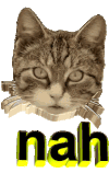 动图 图片   猫咪 哈哈