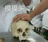 骷髅头 考古 抚摸 摸摸头