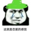 熊猫头 绿帽子 恋爱的感觉 斗图 搞笑 猥琐