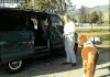 厢式货车 van 小马 可爱