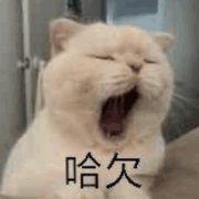 沙雕猫 猫咪 猫 可爱猫 猫表情包 猫咪表情包 小猫
