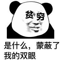 熊猫头 文字表情包 贫穷 是什么懵逼了我的双眼 搞笑 逗 沙雕