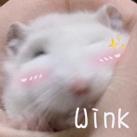 竹鼠 可爱 萌宠 搞怪 文字表情包