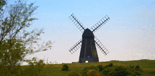 BBC 对猫的发现 纪录片 草坪 蓝天 风车