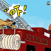 猫狗 吓 懵 soogif soogif出品