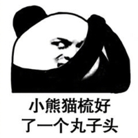 小熊猫 熊猫人 丸子头 暴漫 小熊猫梳好了一个丸子头