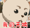 银魂 soogif soogif出品 我的天呐 定春