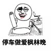 停车做爱枫林晚 老司机 装逼 骚男