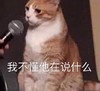 萌宠 喵星人 我不懂他在说什么 听不懂 呆萌 可爱