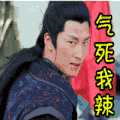 soogif soogif出品 窦骁 楚乔传 气死我辣