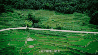 普者黑 云南 三生三世十里桃花取景地 风景 soogif soogif出品