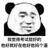 我觉得 考试挺好的 他好就好在 他好他妈个逼 沮丧 装逼
