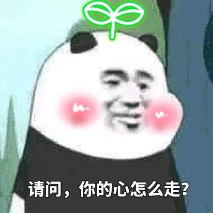 咱们裸熊 Panda 搞笑 可爱 斗图 请问,你的心怎么走
